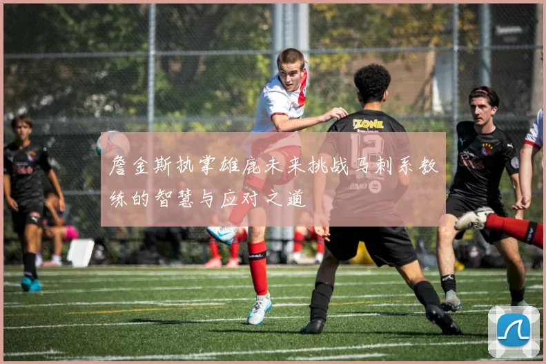 詹金斯执掌雄鹿未来挑战马刺系教练的智慧与应对之道